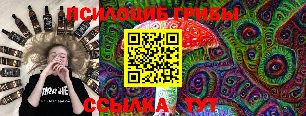Галлюциногенные грибы Psilocybine cubensis Серпухов